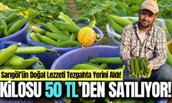 Sarıgöl'de doğal yöntemlerle yetişiyor: Kilosu 50 TL'den tezgahta!