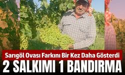 Sarıgöl'de hasat yaklaşırken salkımların boyutu ise görenleri şoka uğratıyor