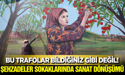 Şehzadeler'in Atıl Duvarları ve Trafoları Ressam Eliyle Hayat Buldu!