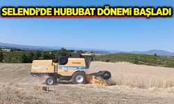 Selendi'de çiftçinin hasat mesaisi başladı