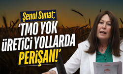 Şenol Sunat Manisa'nın sorunlarını Meclis'e taşıdı!