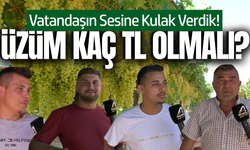 Sofralık üzüm, ıskarta üzüm, kuru üzüm: Üreticinin beklentisi ne?