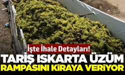 TARİŞ, Alaşehir'deki ıskartalık yaş üzüm alım rampasını kiraya verecek