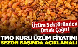 Üzüm Sektöründen Ortak Çağrı: 'TMO Sezon Başlamadan Fiyat Açıklamalı'