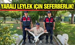 Manisa'da vatandaşın duyarlılığı yaralı leyleği hayata bağladı