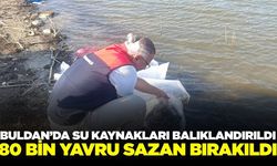Buldan'da 80 bin yavru balık bırakıldı