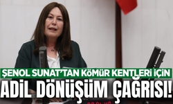 İYİ Partili Sunat’tan TBMM’de ‘Adil Dönüşüm’ Çağrısı