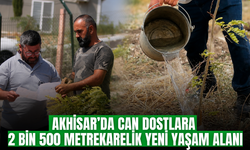 Akhisar’da sokak hayvanlarına 2 bin 500 metrekarelik yeni alan