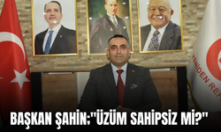 Yeniden Refah’tan Üreticiyi Kaygılandıran Üzüm Fiyatlarına Tepki: "Üzüm Sahipsiz Mi?"