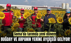Soma’da kuru tarıma alternatif yağlık ayçiçeği için saha kontrolü