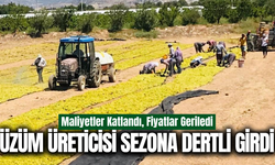 Buldan'da üzüm üreticisi fiyat belirsizliğine tepkili!