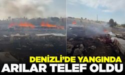 Denizli’de yangın: Arılar telef oldu