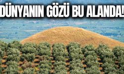 Manisa'nın dev piramitleri dünyanın ilgisini çekiyor