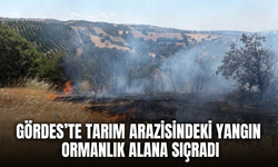 Gördes’te tarım arazisinde başlayan yangın ormana sıçradı