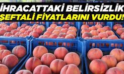 Denizli'de ihracattaki belirsizlik fiyatları alt üst etti: 15 TL'ye geriledi