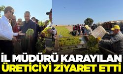 Manisa'da üzüm kurutma sezonu başladı!