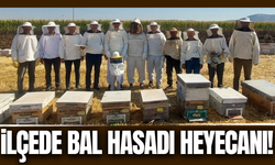 Kaymakam Fatih Özcan Saruhanlı'da bal hasadına katıldı