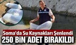 İlçedeki baraj ve göletlere 250 bin sazan yavrusu bırakıldı