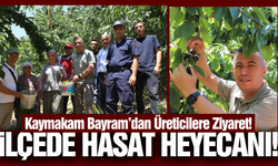 İlçenin kırmızı altınında hasat heyecanı!