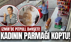 İzmir'de pitbull saldırısına uğrayan kadının parmağı koptu
