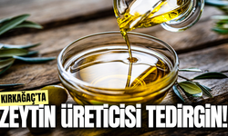 Kırkağaç Ziraat Odası’ndan ABD’ye "Zeytinyağı Vergisi" Tepkisi