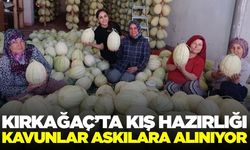 Kırkağaç'ta kavunlar kışa hazırlanıyor