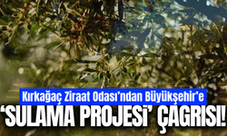 Kırkağaç’ta zeytinlikler için sulama projesi çağrısı