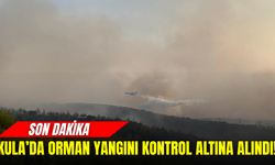 Kula’daki orman yangını kontrol altına alındı