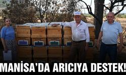 Manisa'da kovanları zarar gören arıcıya destek