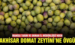 Müdürlükten Manisa'nın sofralık zeytinine övgü!