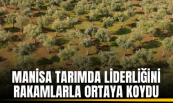 Manisa tarımda gücünü rakamlarla anlattı: Üretimde lider, ihracatta zirvede
