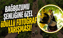 Manisa'da Bağbozumu coşkusu fotoğraf yarışmasıyla taçlanıyor