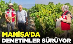 Manisa'da hasat öncesi pestisit denetimi!
