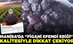 İl Müdürlüğün'den Demirci'nin bereketine övgü