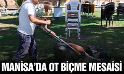 Manisa'da kamusal alanlarda ot biçme mesaisi sürüyor
