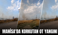 Manisa'da ot yangını paniğe neden oldu