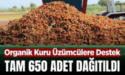 Manisa'da organik kuru üzüm üreticilerine önemli destek