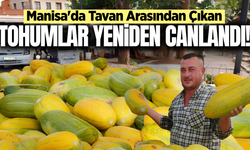Manisa'da tavan arasından sofralara uzanan lezzet!