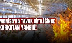 Manisa'da tavuk çiftliğinde korkutan yangın: Söndürme çalışmaları devam ediyor