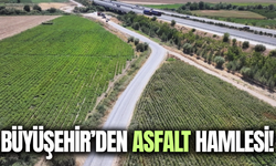 Manisa'da üreticinin yol çilesi sona eriyor!