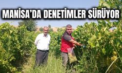 Manisa'da üzüm bağlarında hasat öncesi pestisit denetimleri hızlandı