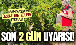 Manisa'da üzüm üreticilerine kritik uyarı: Son 2 gün!