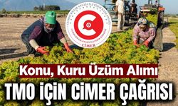 Manisa’da üzüm üreticisinin gözü TMO’da: Sektörden CİMER çağrısı