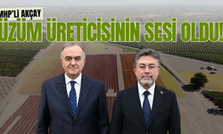 Manisalı üzüm üreticilerinin talepleri Ankara gündeminde!