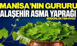 Alaşehir Asma Yaprağı’na Müdürlükten övgü!