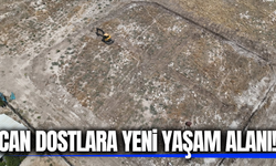 Manisa'nın ilçesinde can dostlara yeni yaşam alanı!