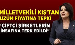 Milletvekili Kış'tan AK Parti'ye tepki: 'Bağını sök, toprağını terk et' diyorlar
