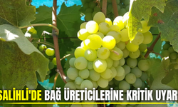 Salihli'de bağ üreticilerine kritik uyarı: İlaçlama zamanı geldi