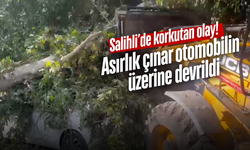 Salihli’de park halindeki otomobilin üzerine ağaç devrildi