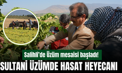 Salihli’de Sultani Üzüm Hasadı Başladı: Kaymakam Güldoğan Bağlarda Üreticiyle Buluştu